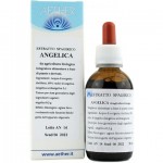 Angelica - 50 ml