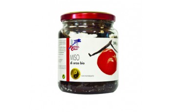Miso di Orzo Bio - 300 gr