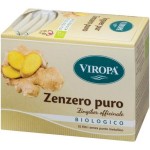 Zenzero Puro Bio - 30 gr