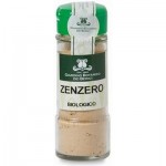 Zenzero in polvere Bio - 30 gr